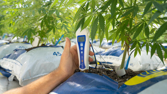 Cómo bajar la temperatura en cultivos de interior en verano